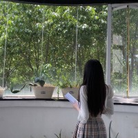 谢丽燕
