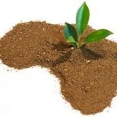 NDIAY ALIOUNE BADARA