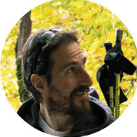 Mauro Viale