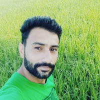 Rajesh Singh R Rajput