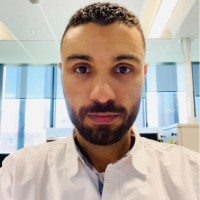 Ahmed Elhanafi