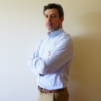 Manuel Lima