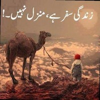 M Sabeel