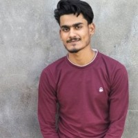 Parveen Pasha