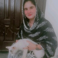 Shoaib khizer
