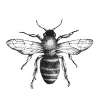 Honey Co.