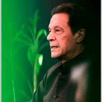 Faizan Ali