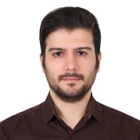 alireza houshangi