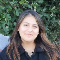 Kandy Rosas, Pmp