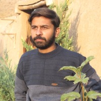 Syed Hamza Hassan Kazmi
