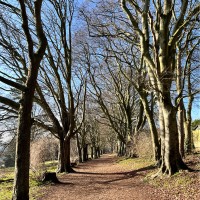 Shimanto Daiyan Islam