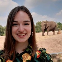 Marieke Willemsen