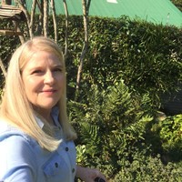 Carollyn Van Der Valk