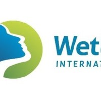 Bam-Gire Wetlands International Mali