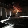 高橋正樹
