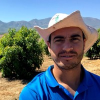 Enrique Portales León