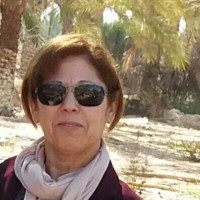 farida bekhouche