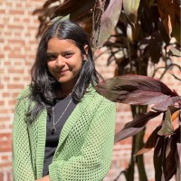Tashu Mittal