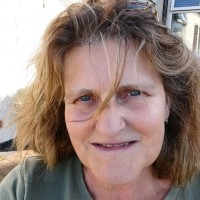 Lynne Wilson