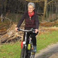 Karin De Haan