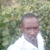 JAY GATHONGO