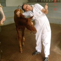 Maristela Lopes