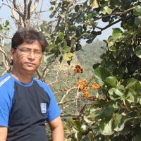 Khalil Ullah