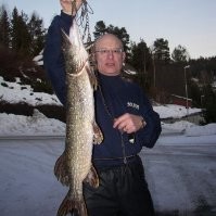 Peter Bonovich