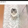르소토