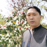 陈洪云