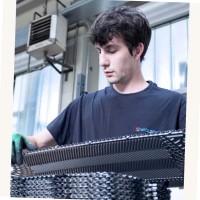 Filippo Bertelli