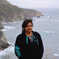 Jayashree T V