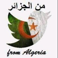 فوزي دباش