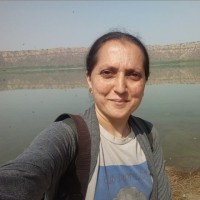 Gauri G