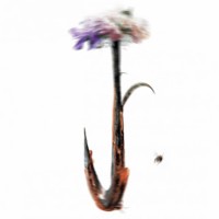 Dimitris Delinikolas