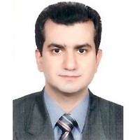 Hassan Mirzaie