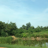 李梦晗