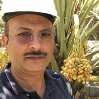 Khaled Mansour