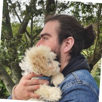 Brandon Andrey Fernandez Fernandez