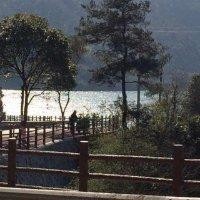 胡君怡