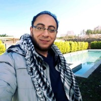 Mohamed Nawar