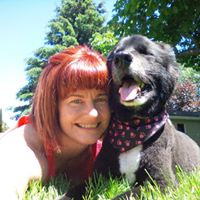 Sue O'Reilly Cpa, Ca