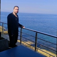 mahmoud arfa