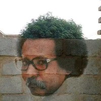 Yassin Bukhari