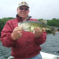 Denny Livingston