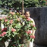 Mimose Eugene