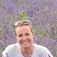 dominique verstraete