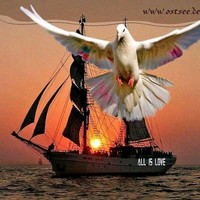 منصور عبدالرحيم