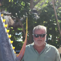 Murray Vasilev