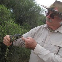 Peter Clements